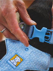 ruffwear-collier-front-range-flex-pour-chien-bleu