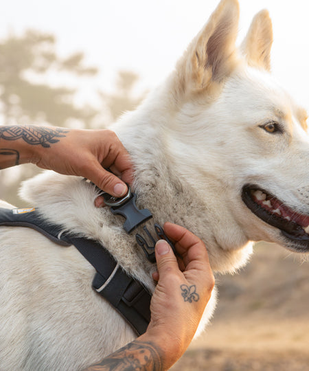 ruffwear-collier-front-range-pour-chien-basalt-grey