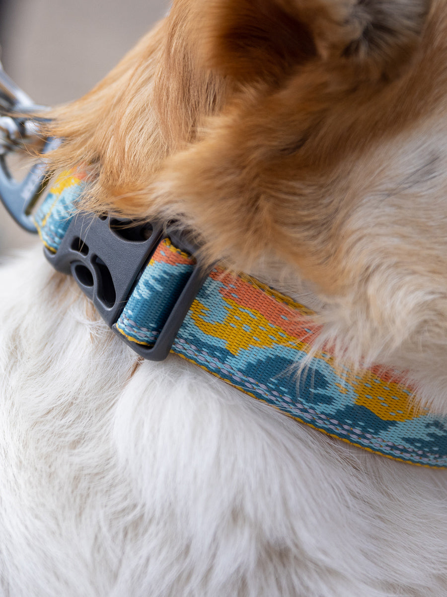 ruffwear-collier-pour-chien-Crag-Hands-Free-Leash-RisingWave