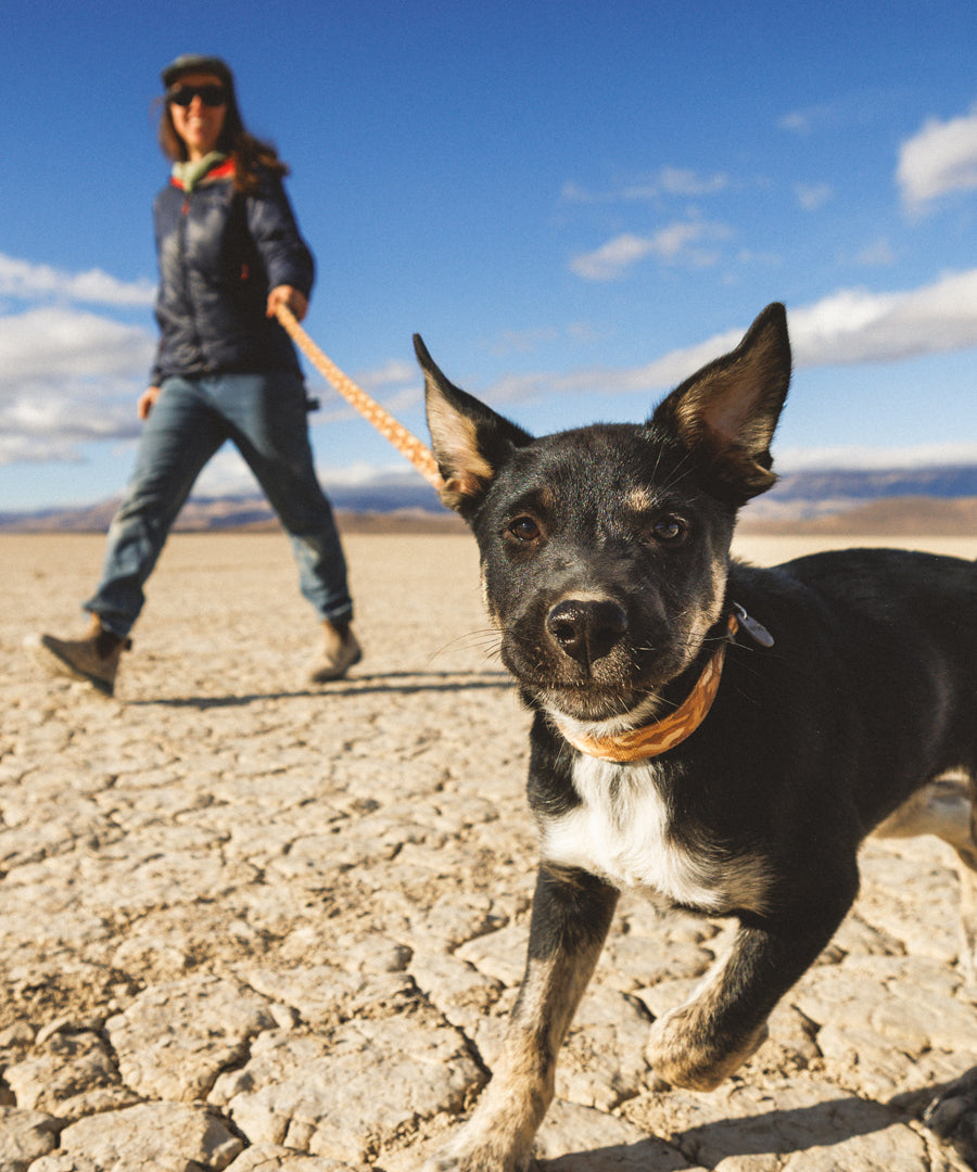 ruffwear-laisse-main-libre-pour-chien-Crag-Hands-Free-Leash-Desert-Spice