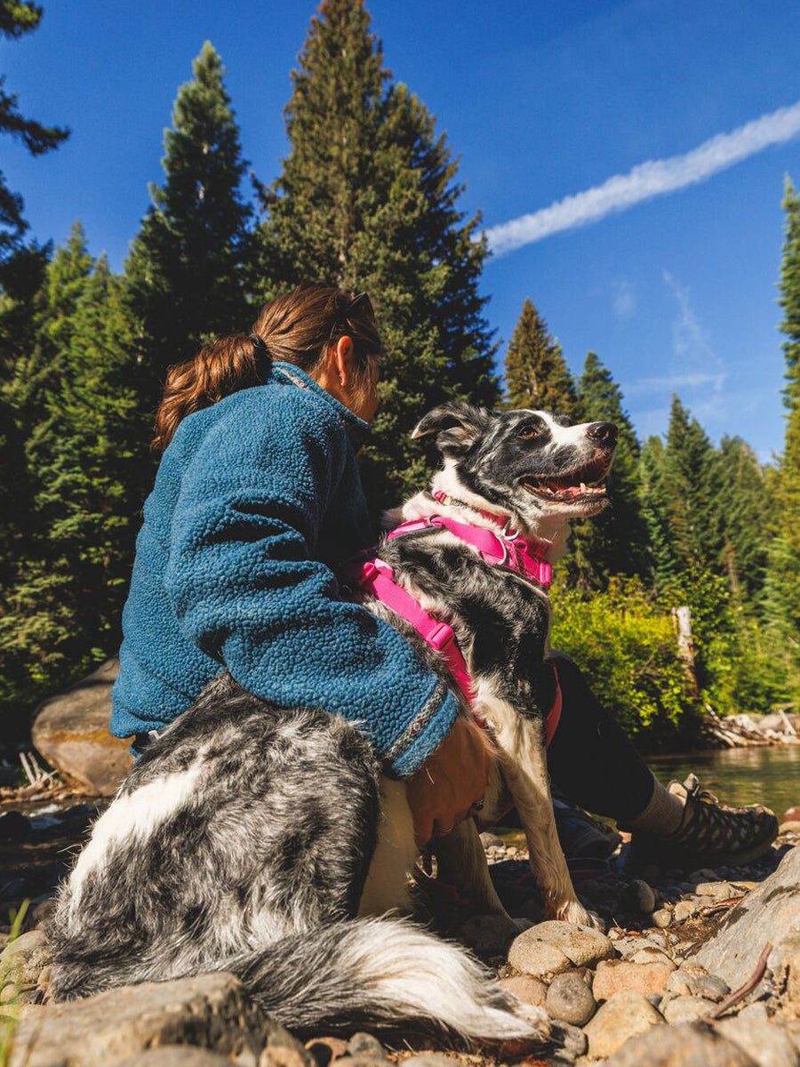 ruffwear-collier-pour-chien-Front-Range-rose-Pink-mountain