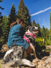 ruffwear-collier-pour-chien-Front-Range-rose-Pink-mountain