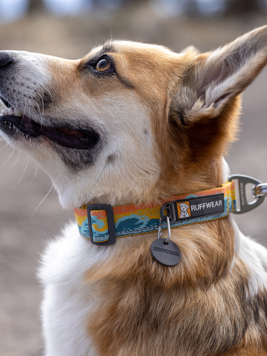ruffwear-collier-pour-chien-Crag-Hands-Free-Leash-RisingWave