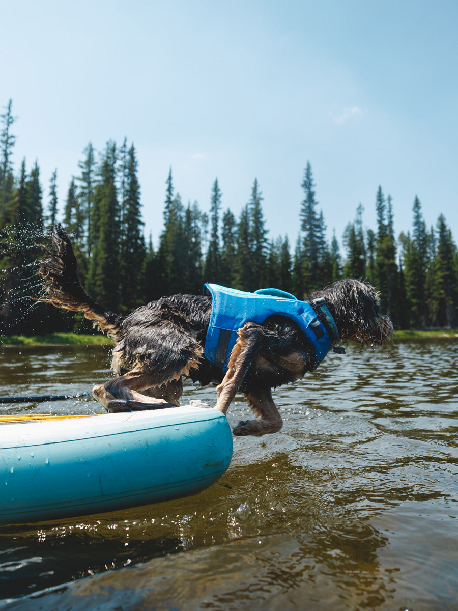 ruffwear-gilet-sauvetage-pour-chien-Float-Coat-bleu