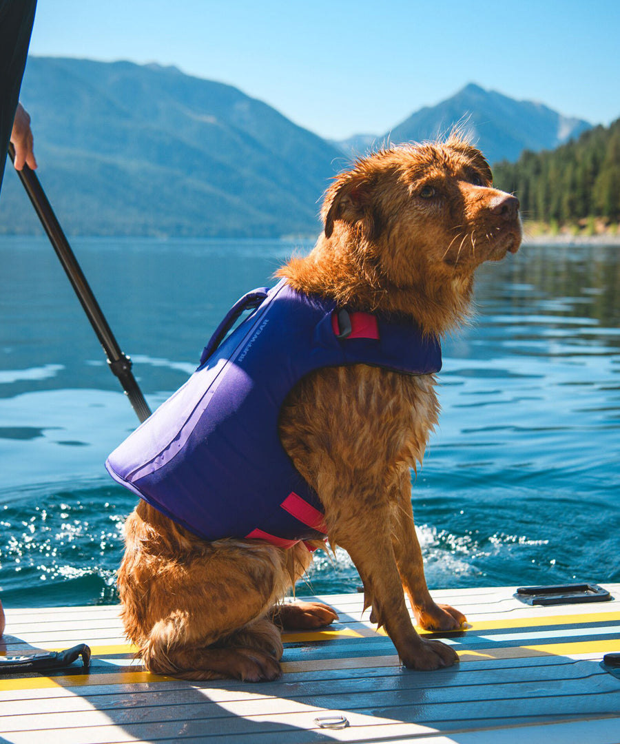 ruffwear-gilet-sauvetage-pour-chien-Float-Coat-violet
