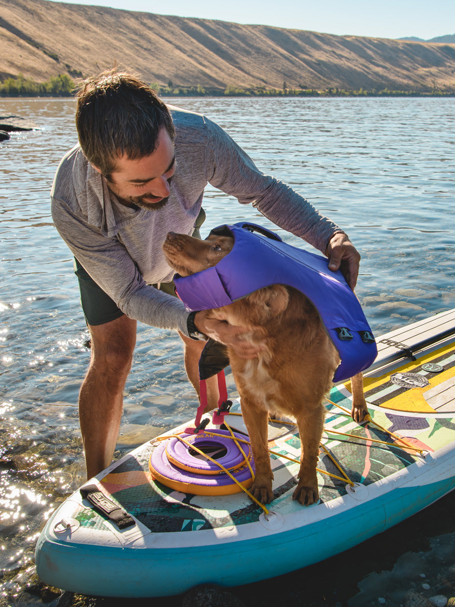 ruffwear-gilet-sauvetage-pour-chien-Float-Coat-violet