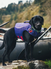 ruffwear-gilet-sauvetage-pour-chien-Float-Coat-violet