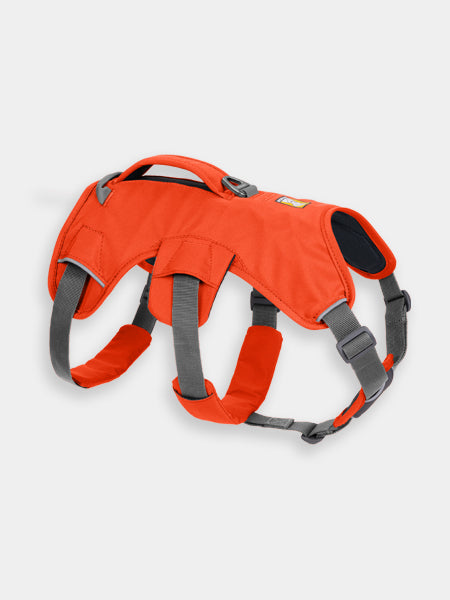 ruffwear-harnais-avec-poignee-pour-chien-Web-Master-Blaze-Orange-fluo