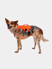 ruffwear-harnais-avec-poignee-pour-chien-Web-Master-Blaze-Orange-fluo