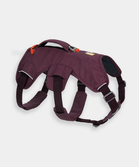 ruffwear-harnais-avec-poignee-pour-chien-Web-Master-Purple-Rain