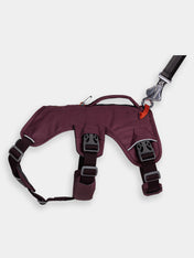 ruffwear-harnais-avec-poignee-pour-chien-Web-Master-Purple-Rain