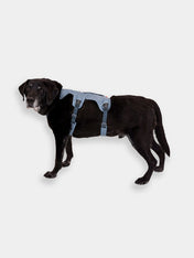 ruffwear-harnais-avec-poignee-pour-chien-Web-Master-Slate-Blue