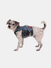 ruffwear-harnais-avec-poignee-pour-chien-Web-Master-Slate-Blue