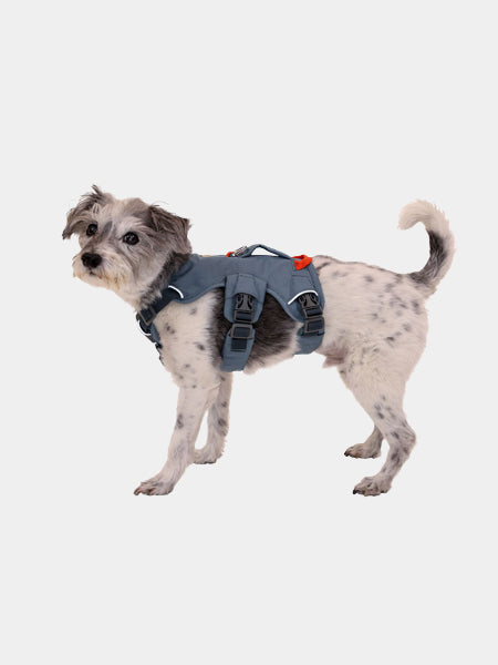 ruffwear-harnais-avec-poignee-pour-chien-Web-Master-Slate-Blue