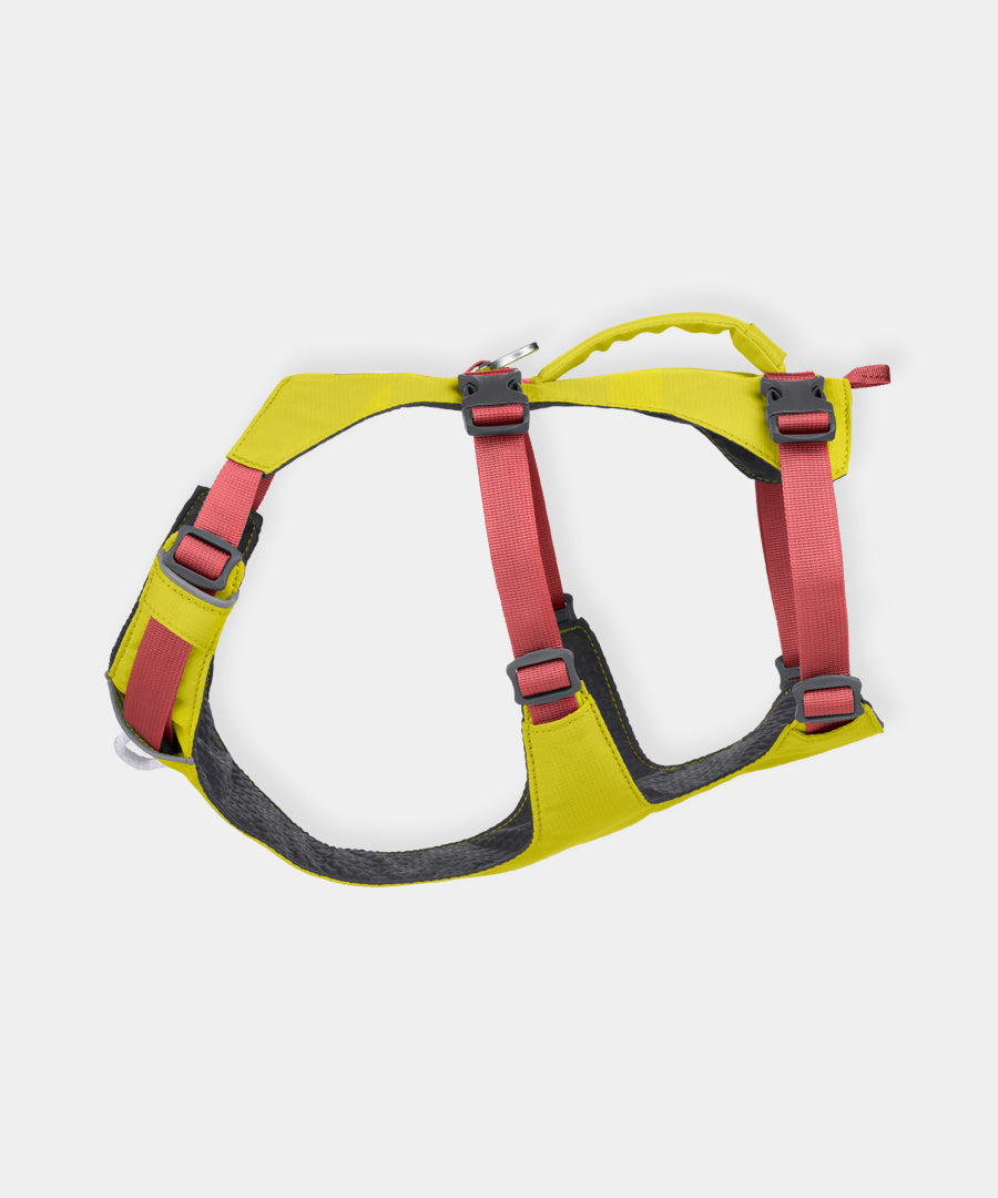 ruffwear-harnais-flagline-pour-chien-Lichen-Green