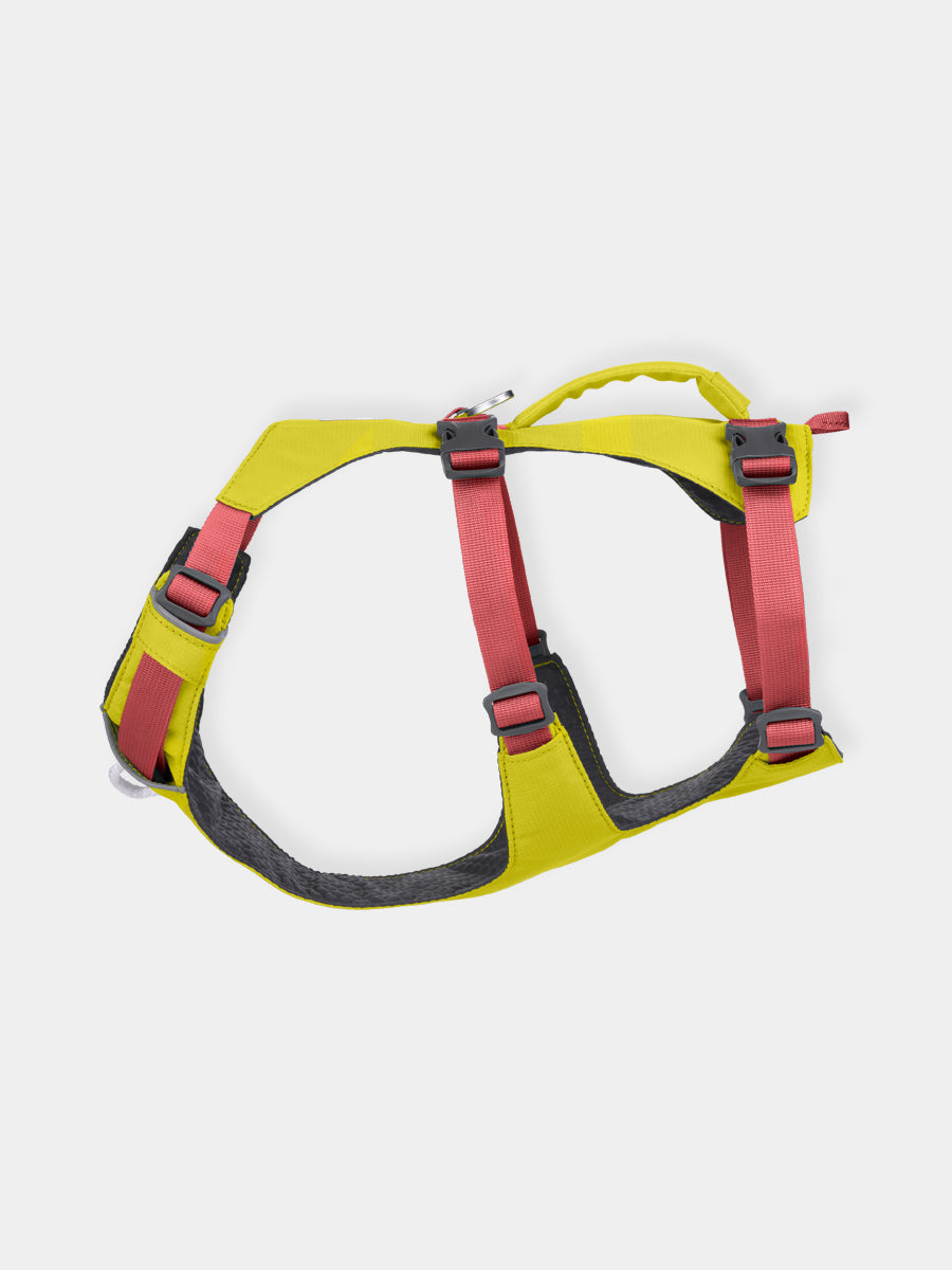 ruffwear-harnais-flagline-pour-chien-Lichen-Green