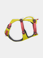 ruffwear-harnais-flagline-pour-chien-Lichen-Green