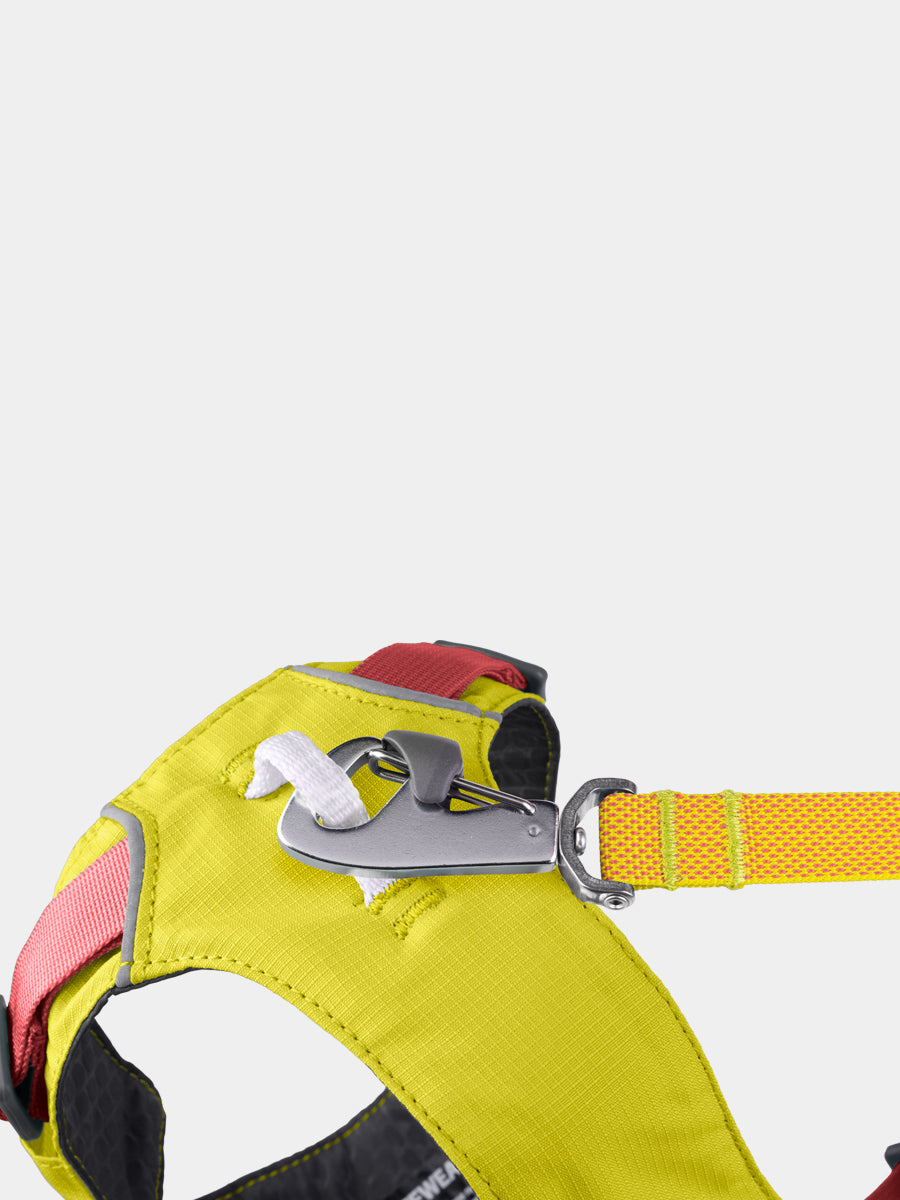 ruffwear-harnais-flagline-pour-chien-Lichen-Green