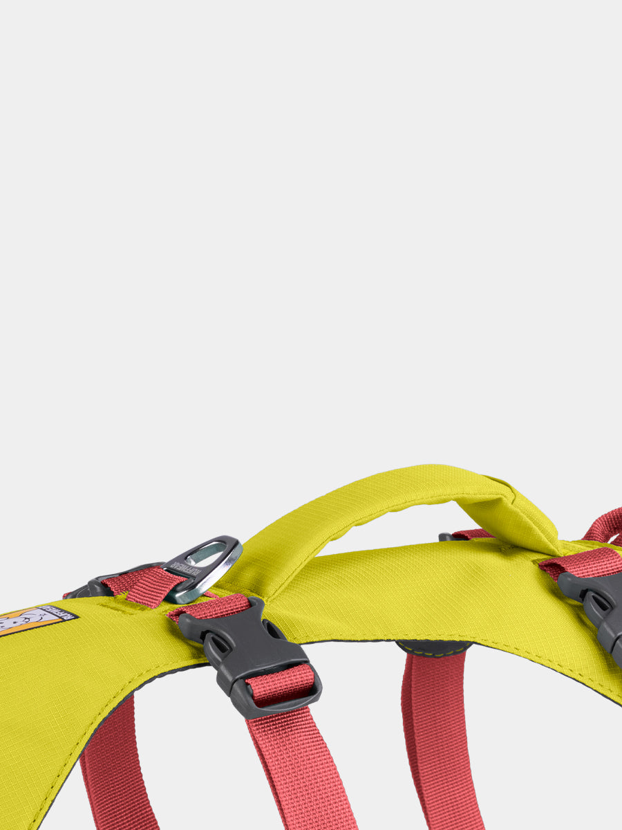 ruffwear-harnais-flagline-pour-chien-Lichen-Green
