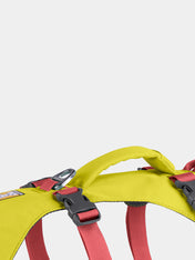 ruffwear-harnais-flagline-pour-chien-Lichen-Green