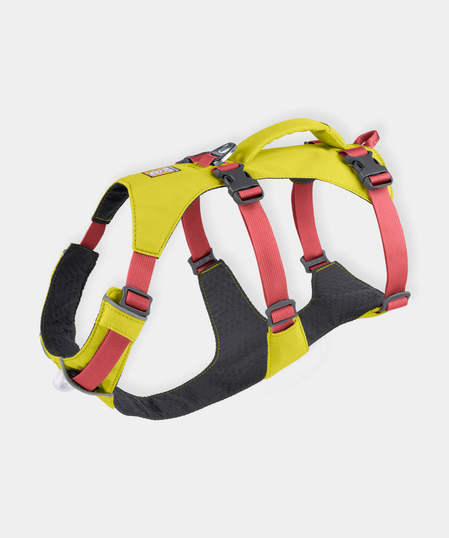 ruffwear-harnais-flagline-pour-chien-Lichen-Green