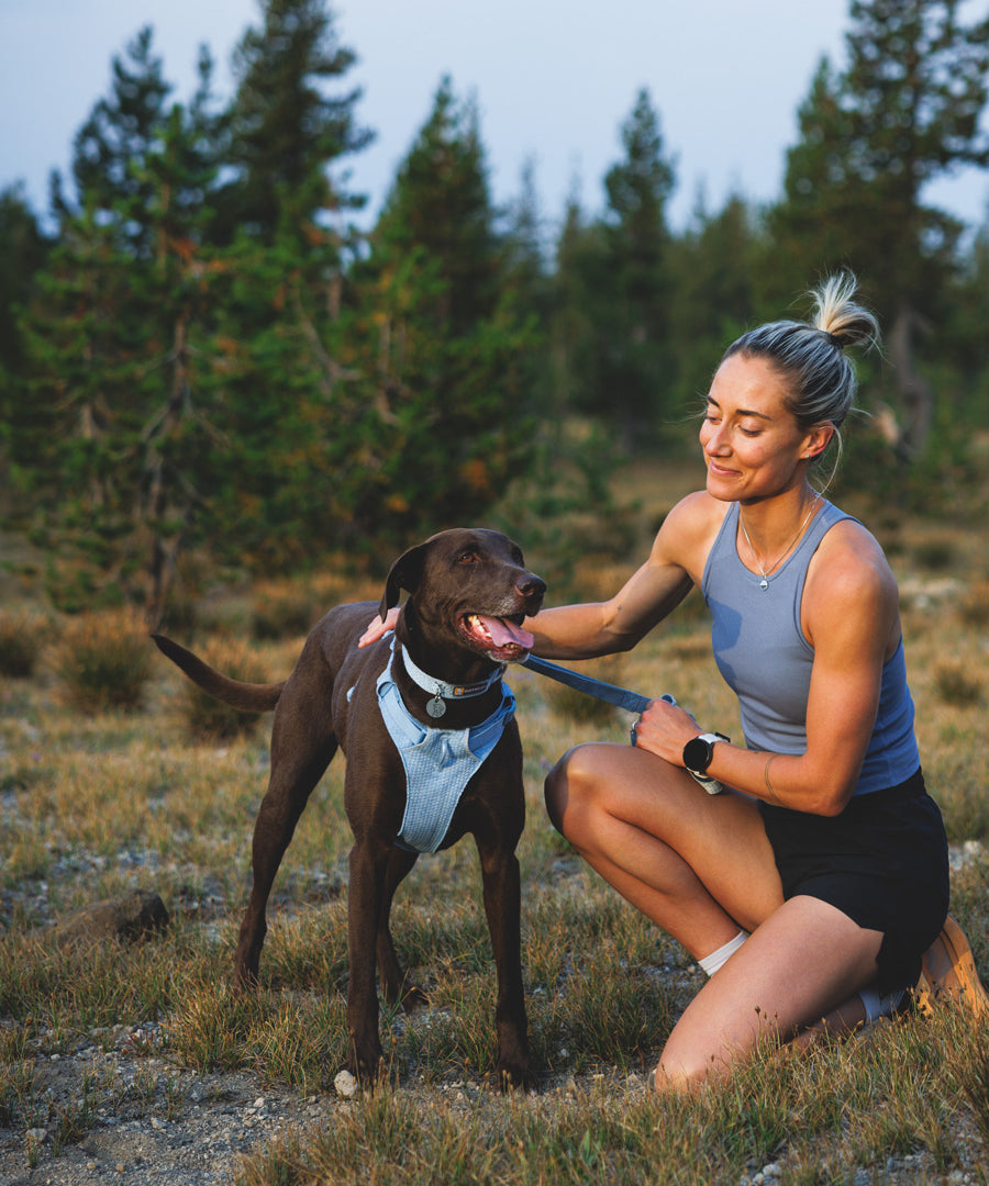 ruffwear-harnais-front-range-flex-pour-chien-BLEU