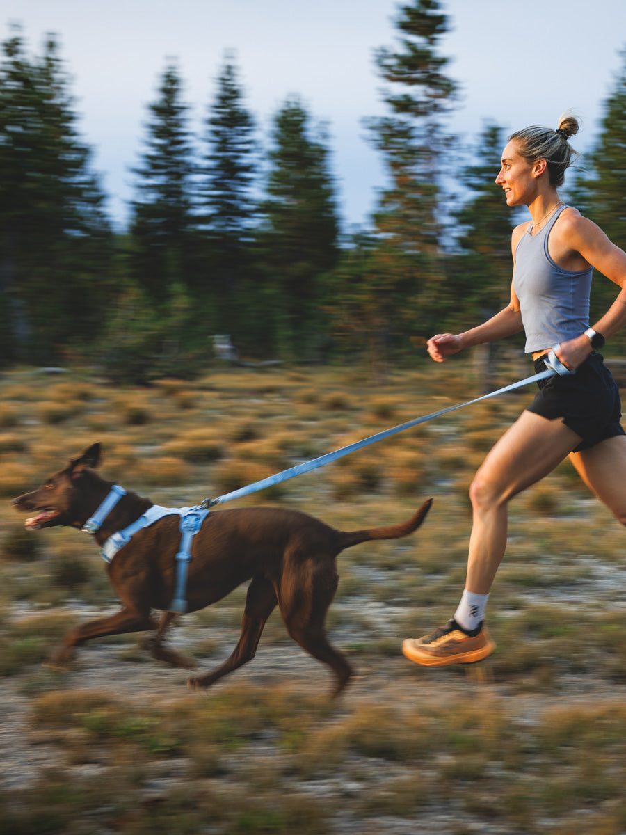 ruffwear-harnais-front-range-flex-pour-chien-BLEU