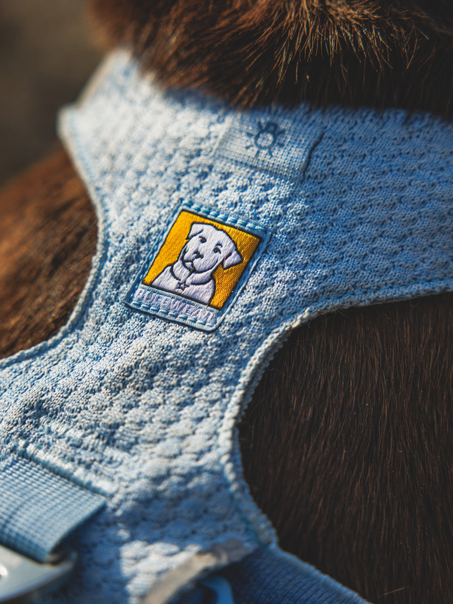 ruffwear-harnais-front-range-flex-pour-chien-BLEU