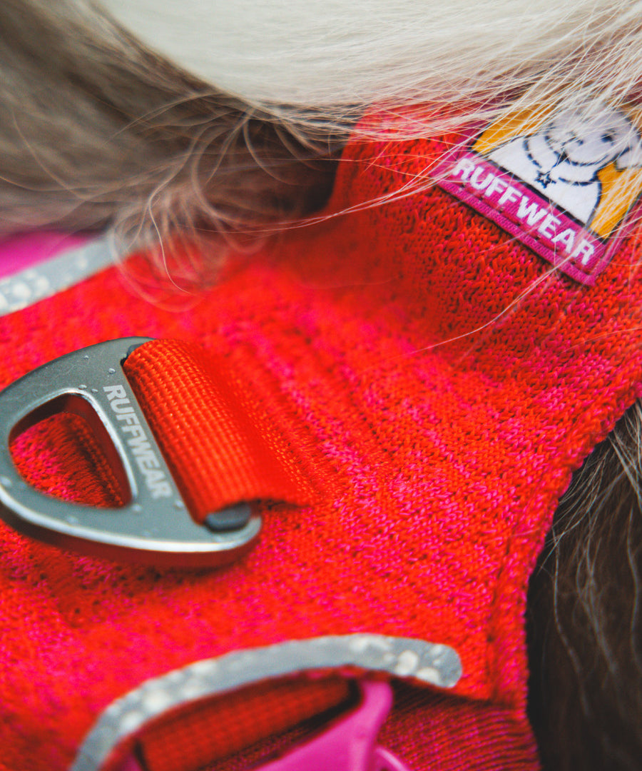 ruffwear-harnais-front-range-flex-pour-chien-rouge
