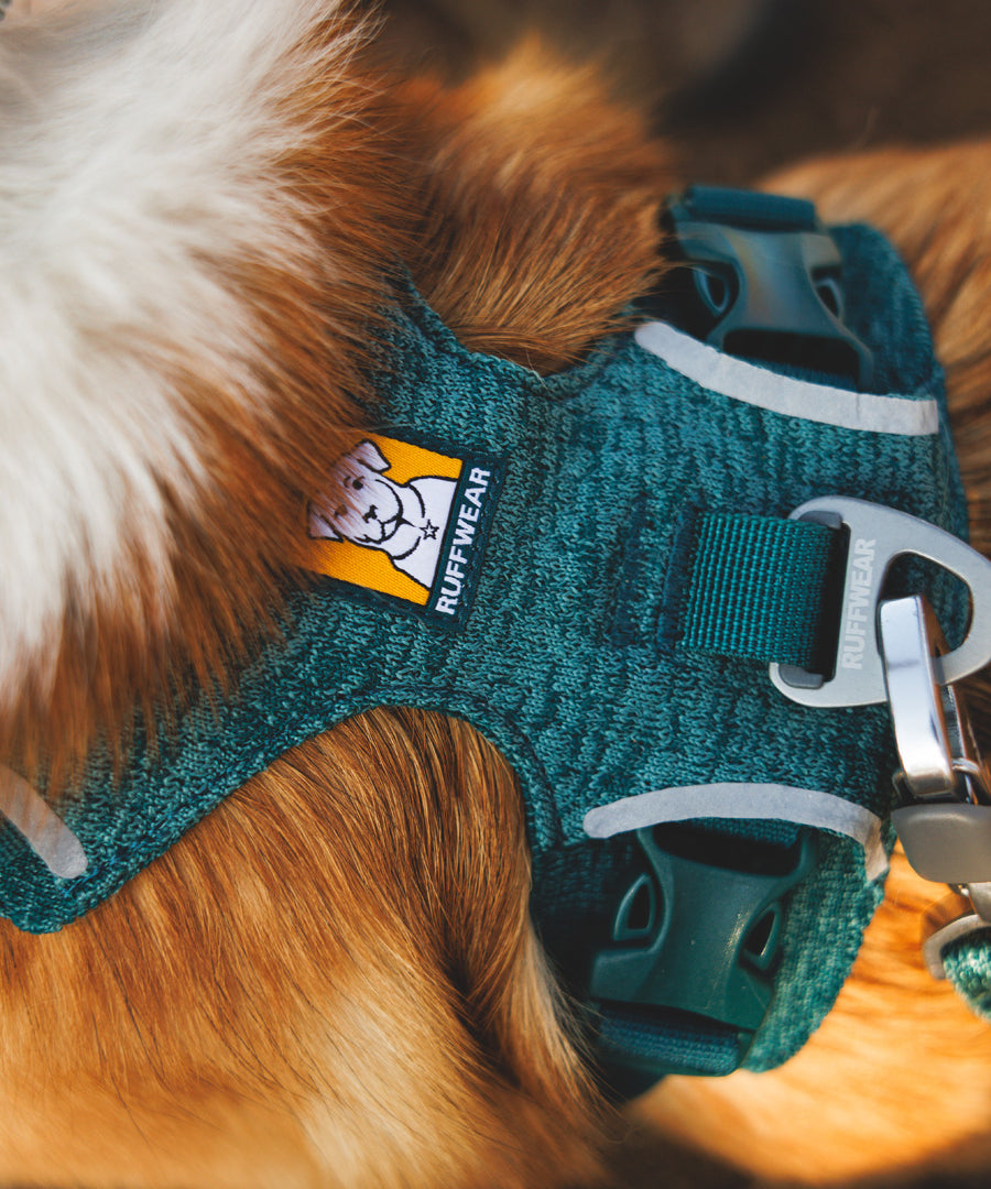 ruffwear-harnais-front-range-flex-pour-chien-teal