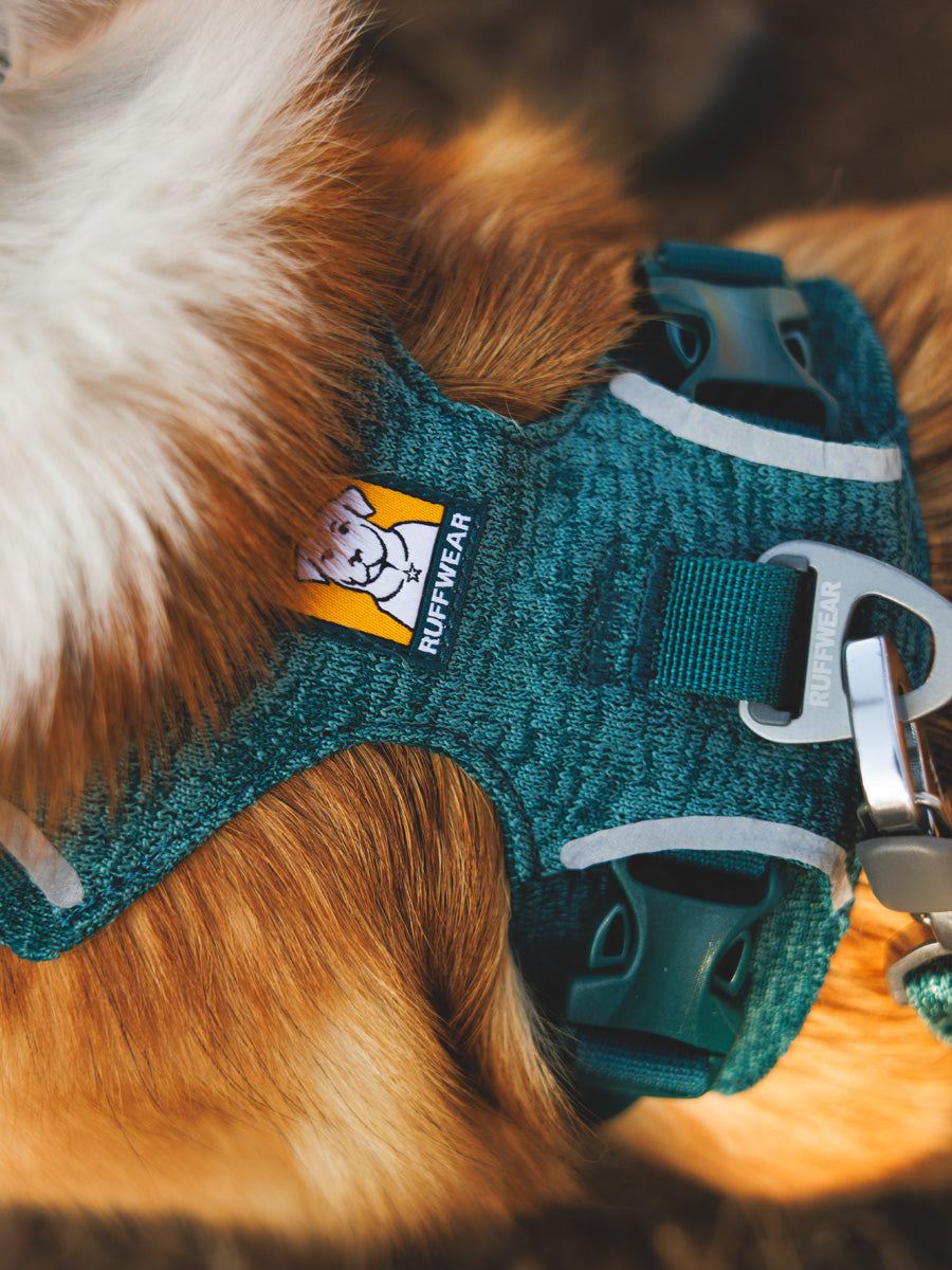 ruffwear-harnais-front-range-flex-pour-chien-teal