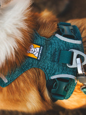 ruffwear-harnais-front-range-flex-pour-chien-teal
