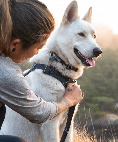 ruffwear-harnais-front-range-pour-chien-Basalt-grey