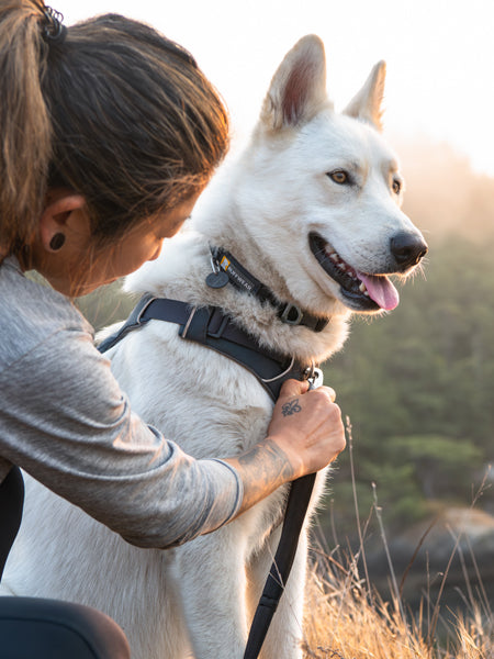 ruffwear-harnais-front-range-pour-chien-Basalt-grey