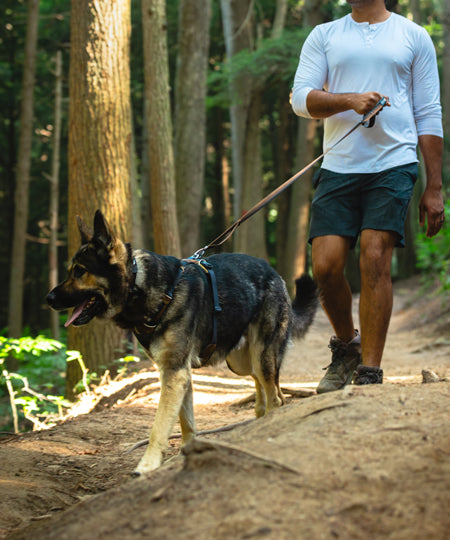 ruffwear-harnais-front-range-pour-chien-Moonlight-Mountains