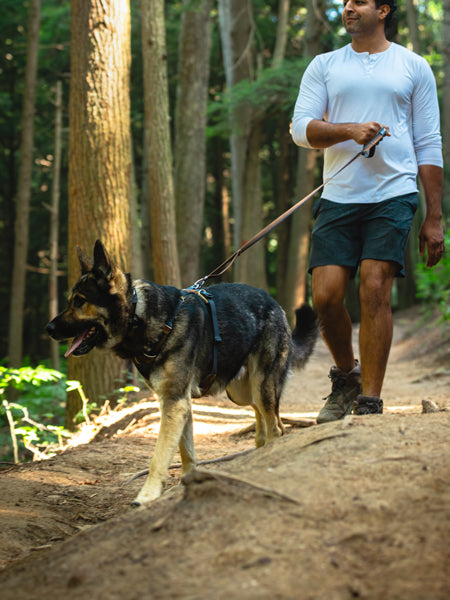 ruffwear-harnais-front-range-pour-chien-Moonlight-Mountains