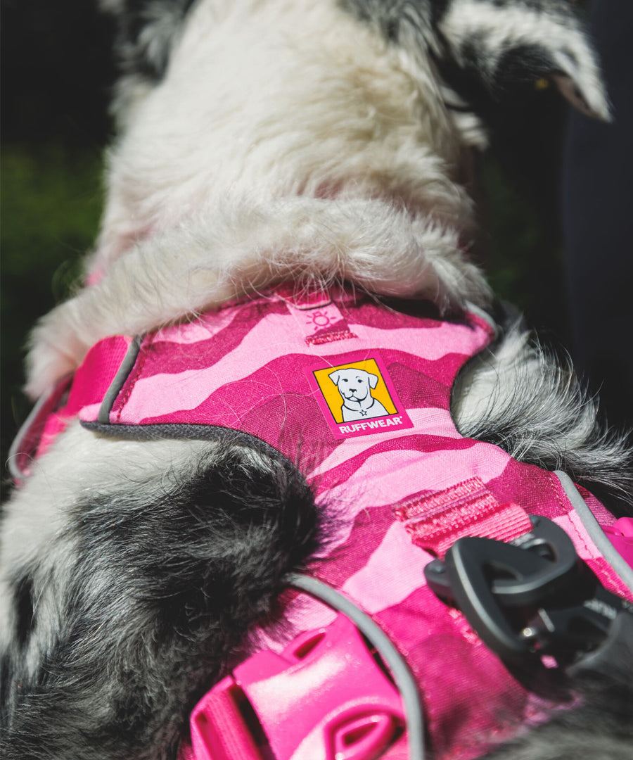 ruffwear-harnais-pour-chien-Front-Range-rose-Pink-mountain