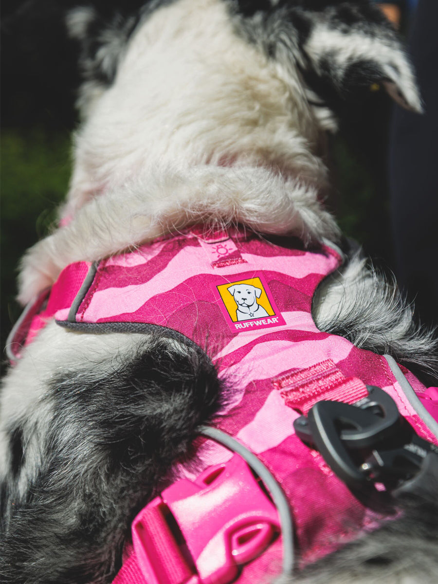 ruffwear-harnais-pour-chien-Front-Range-rose-Pink-mountain