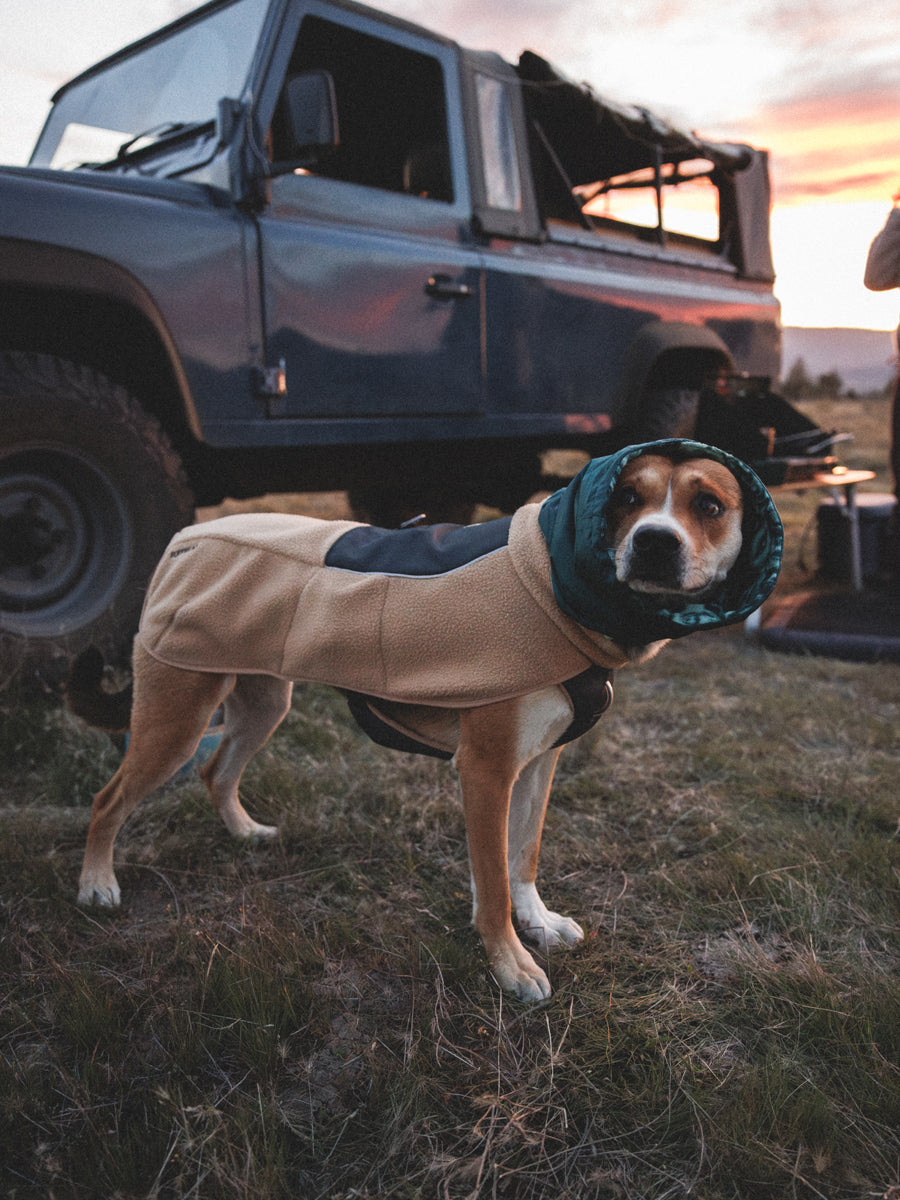 ruffwear-harnais-veste-polaire-pour-chien-Timberline-Fuse-Fleece-Vest-Driftwood