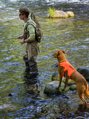ruffwear-harnais-web-master-pour-chien-orange