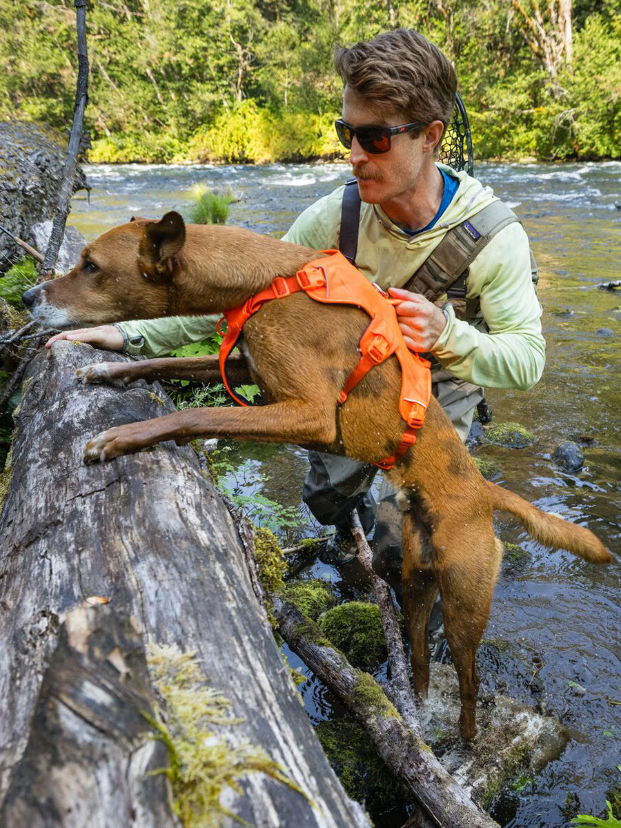 ruffwear-harnais-web-master-pour-chien-orange