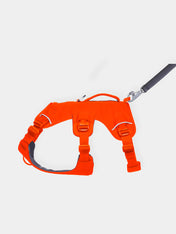 ruffwear-harnais-web-master-pour-chien-orange