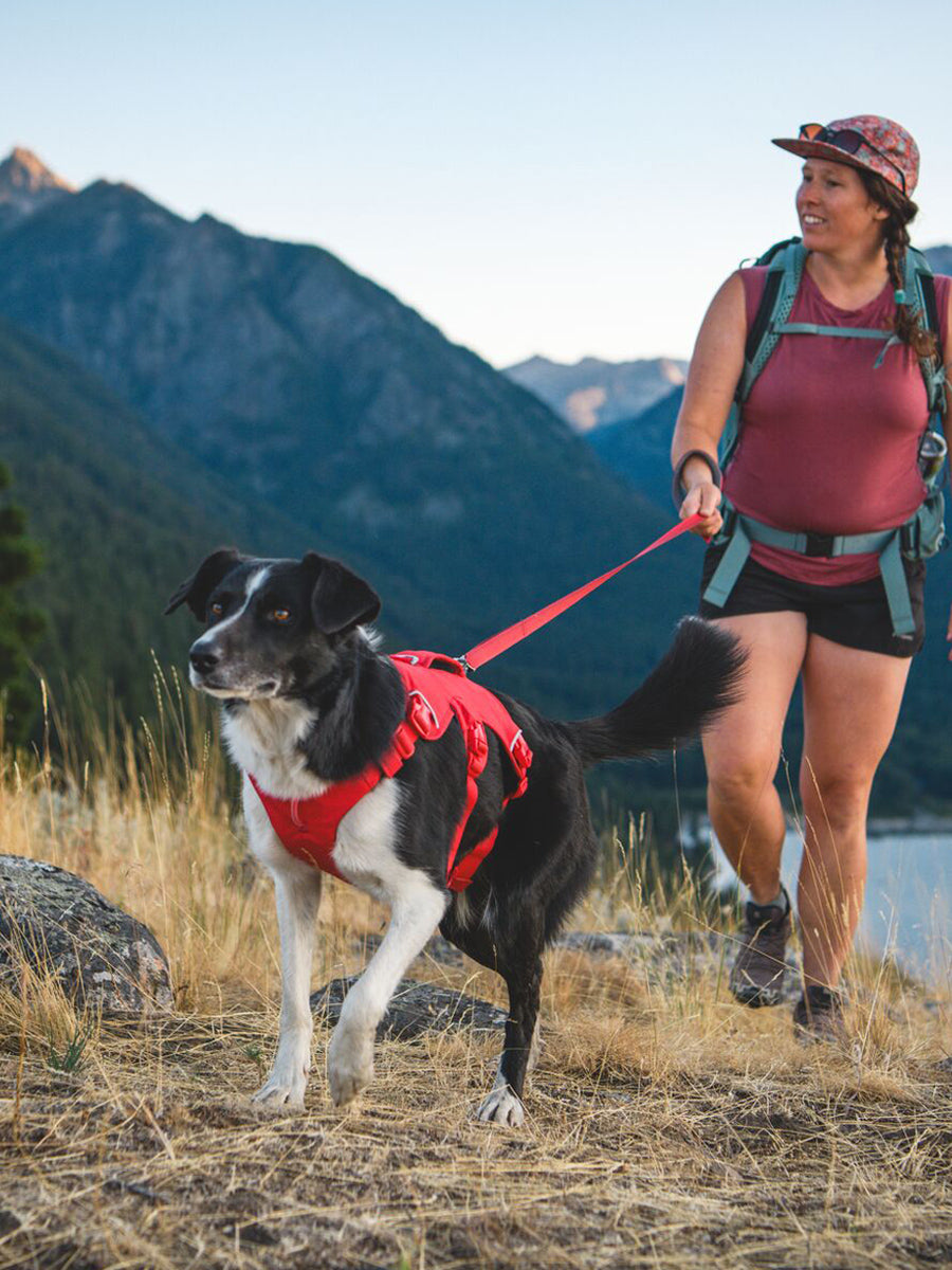 ruffwear-harnais-web-master-pour-chien-rouge