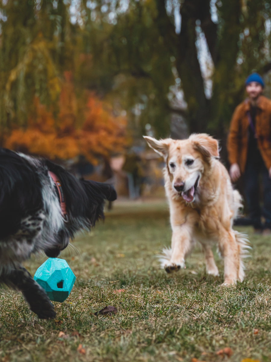 ruffwear-jouet-chien-resistant-Gnawt-A-Rock