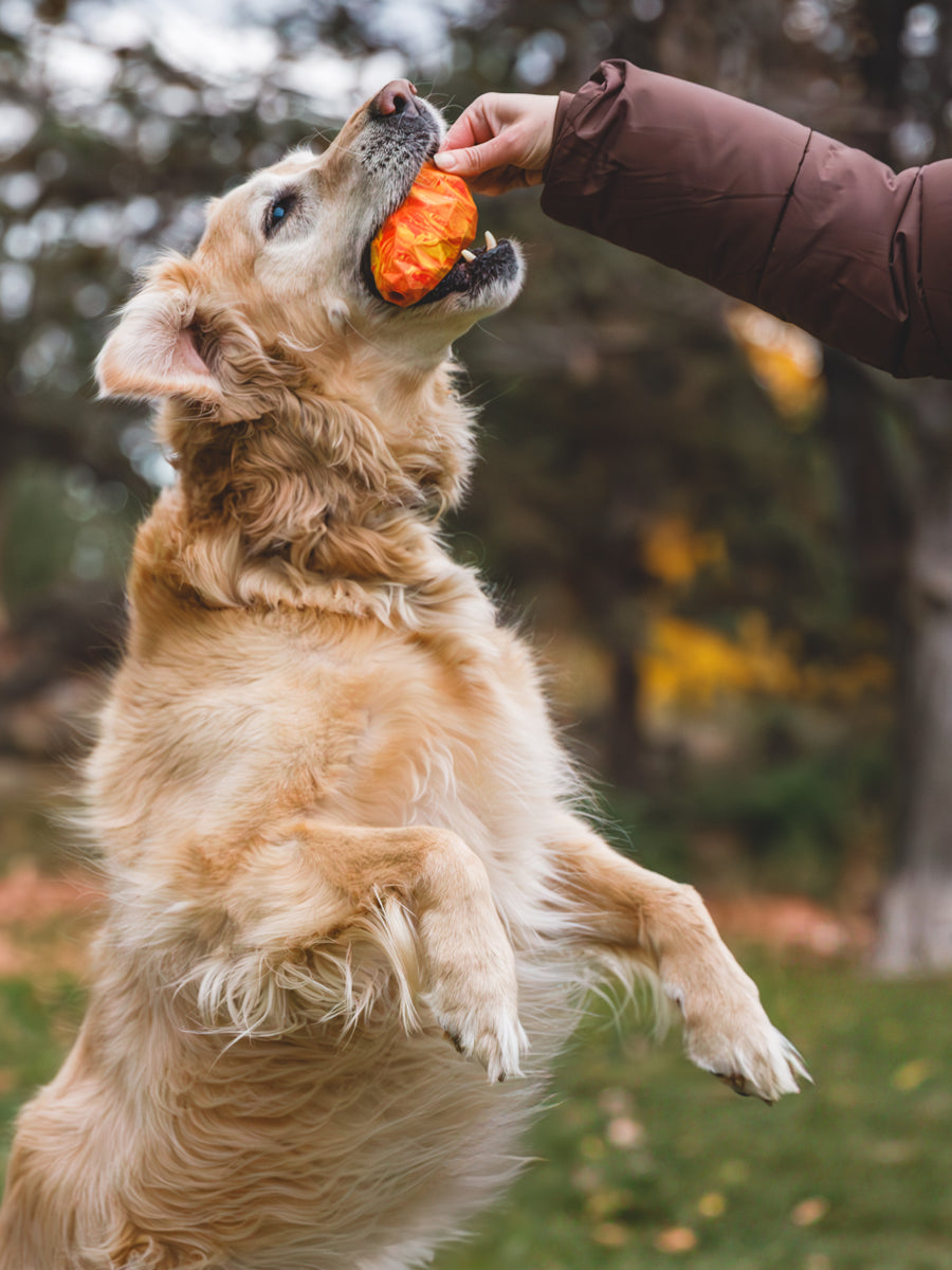 ruffwear-jouet-chien-resistant-Gnawt-a-Cone