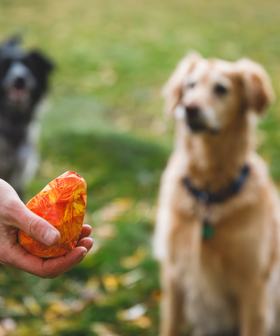 ruffwear-jouet-chien-resistant-Gnawt-a-Cone