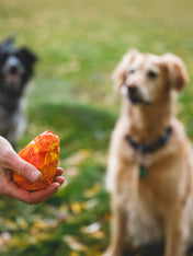 ruffwear-jouet-chien-resistant-Gnawt-a-Cone