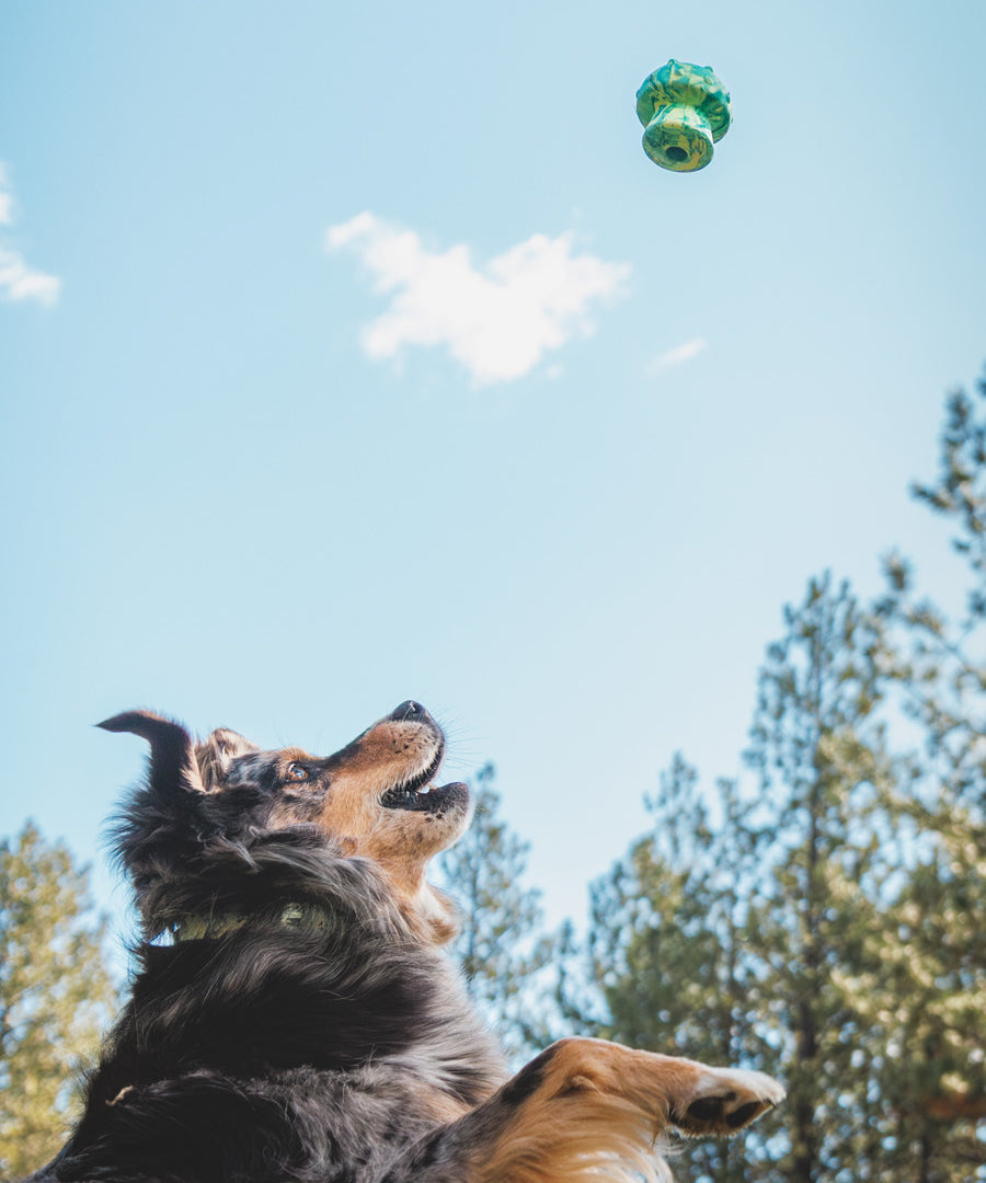 ruffwear-jouet-resistant-eco-friendly-durable-naturel-Toadstool-morel-vert