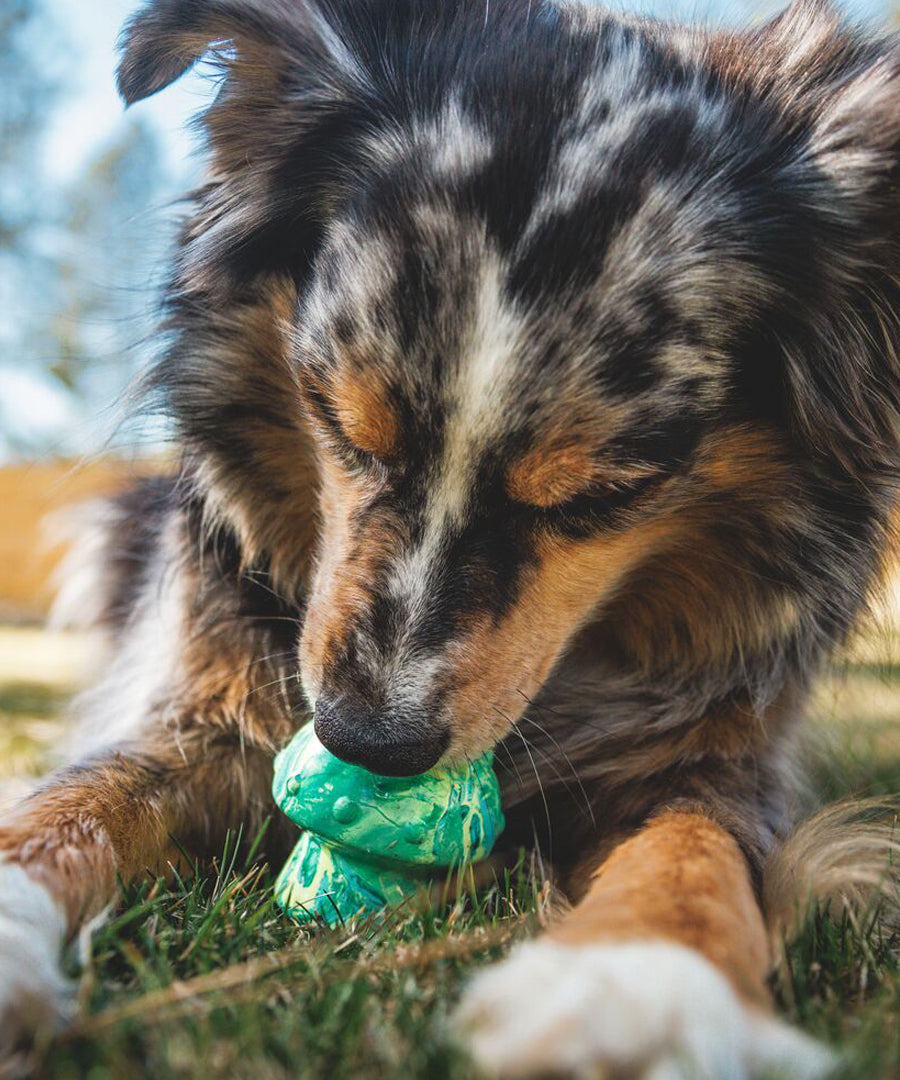 ruffwear-jouet-resistant-eco-friendly-durable-naturel-Toadstool-morel-vert