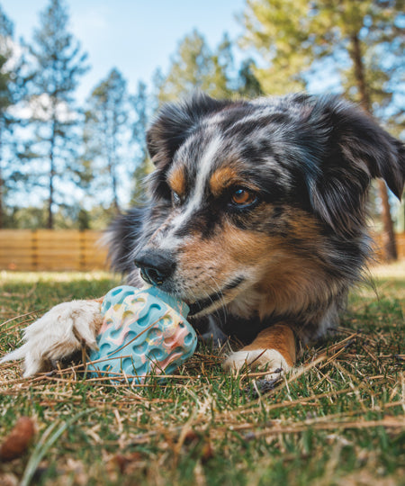 ruffwear-jouet-resistant-eco-friendly-durable-naturel-morel-blue-prism